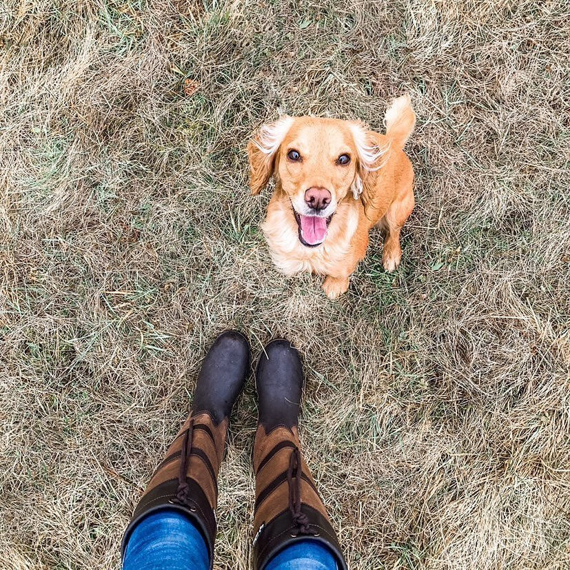 The Best Boots for Dog Walking in the British Countryside