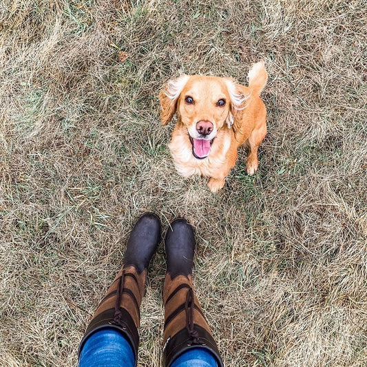 The Best Boots for Dog Walking in the British Countryside