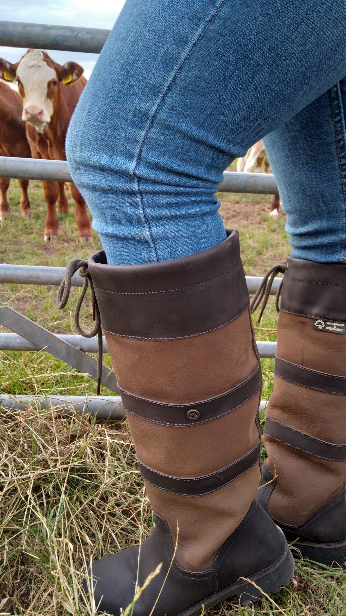 Cabotswood Footwear Country Boots - Equestrian Boots